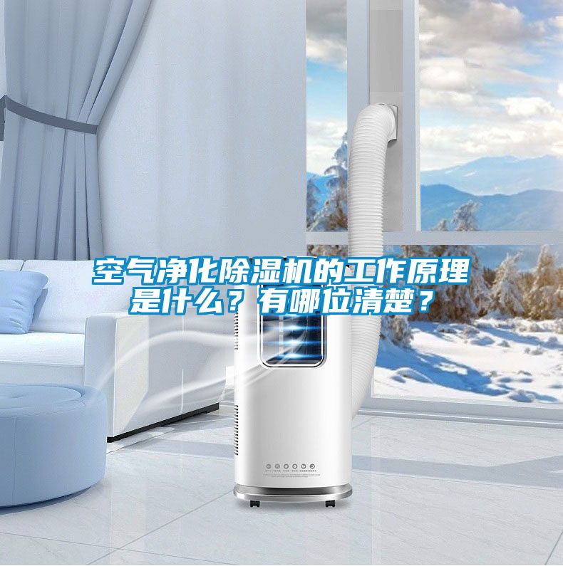 空氣凈化除濕機的工作原理是什么？有哪位清楚？