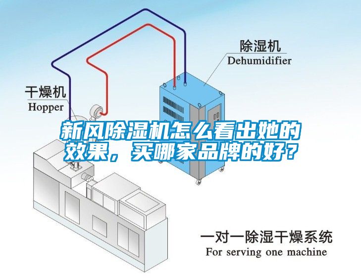 新風(fēng)除濕機(jī)怎么看出她的效果，買哪家品牌的好？