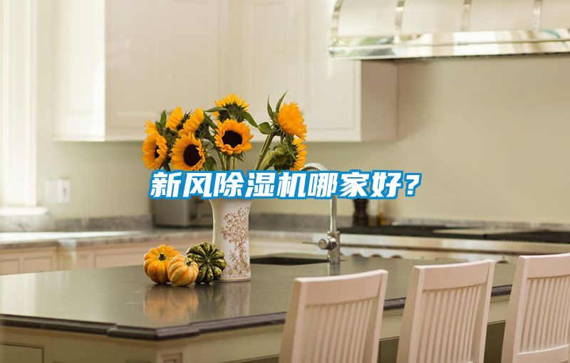 新風(fēng)除濕機(jī)哪家好？