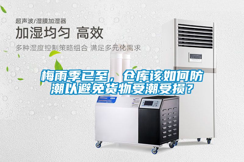 梅雨季已至，倉庫該如何防潮以避免貨物受潮受損？