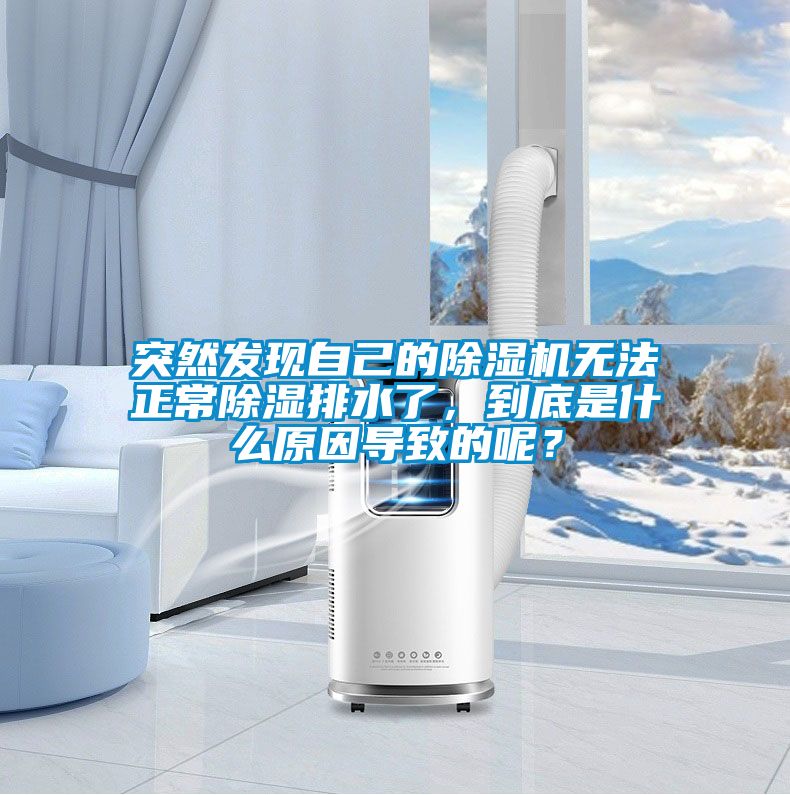 突然發(fā)現(xiàn)自己的除濕機(jī)無(wú)法正常除濕排水了，到底是什么原因?qū)е碌哪兀?/></p>
						    <p style=