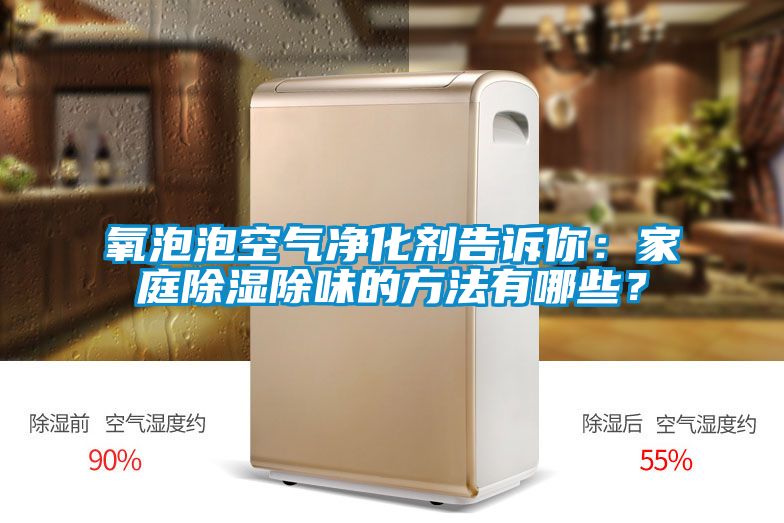 氧泡泡空氣凈化劑告訴你：家庭除濕除味的方法有哪些？