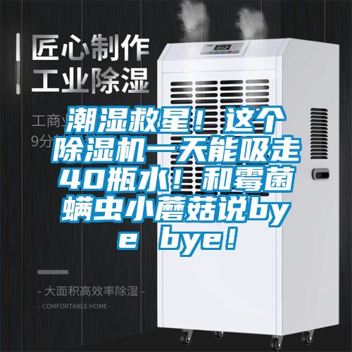 潮濕救星！這個除濕機(jī)一天能吸走40瓶水！和霉菌螨蟲小蘑菇說bye bye！