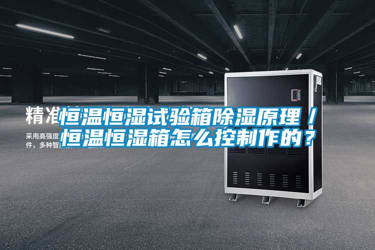 恒溫恒濕試驗(yàn)箱除濕原理／恒溫恒濕箱怎么控制作的？