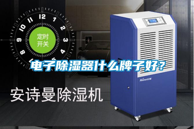 電子除濕器什么牌子好？