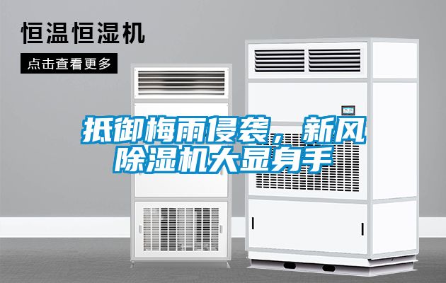 抵御梅雨侵襲，新風除濕機大顯身手