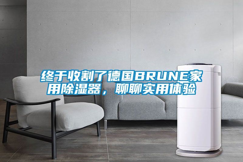終于收割了德國BRUNE家用除濕器，聊聊實用體驗