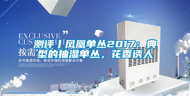 測(cè)評(píng)丨鳳凰單叢2017：典型的抽濕單叢，花香誘人