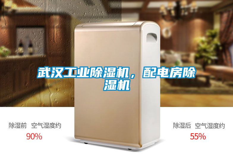 武漢工業(yè)除濕機(jī)，配電房除濕機(jī)