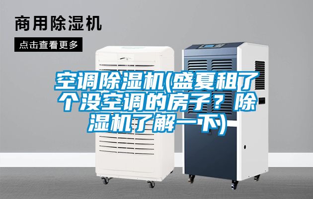 空調(diào)除濕機(盛夏租了個沒空調(diào)的房子？除濕機了解一下)