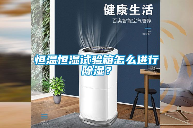 恒溫恒濕試驗箱怎么進行除濕？