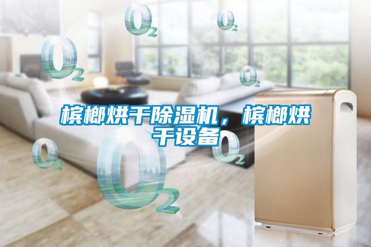 檳榔烘干除濕機，檳榔烘干設備