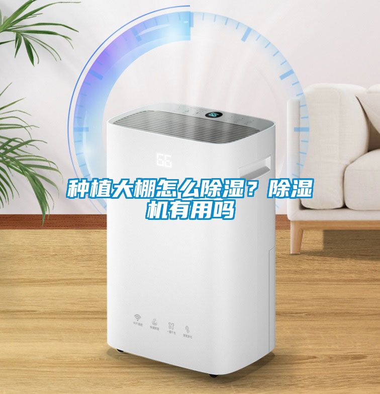 種植大棚怎么除濕？除濕機(jī)有用嗎