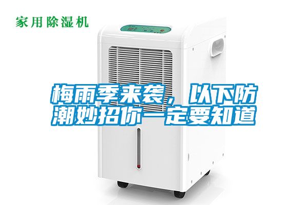 梅雨季來襲，以下防潮妙招你一定要知道