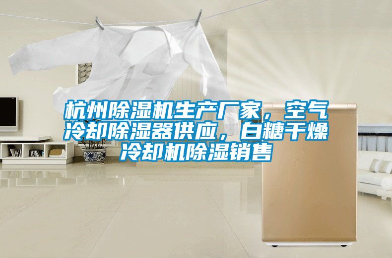 杭州除濕機生產(chǎn)廠家，空氣冷卻除濕器供應(yīng)，白糖干燥冷卻機除濕銷售