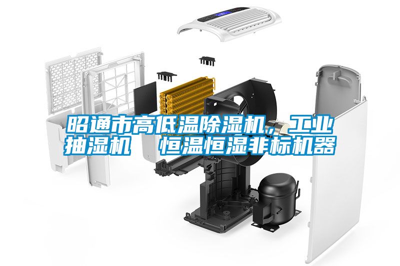 昭通市高低溫除濕機，工業(yè)抽濕機  恒溫恒濕非標機器