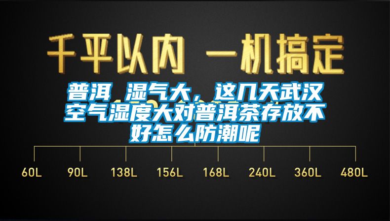 普洱 濕氣大，這幾天武漢空氣濕度大對(duì)普洱茶存放不好怎么防潮呢