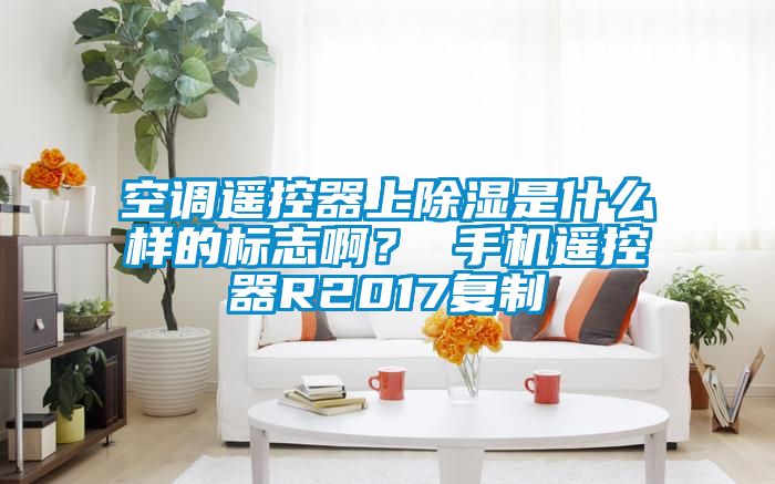 空調(diào)遙控器上除濕是什么樣的標(biāo)志??？ 手機(jī)遙控器R2017復(fù)制