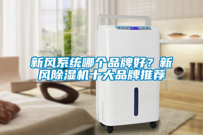 新風系統(tǒng)哪個品牌好？新風除濕機十大品牌推薦