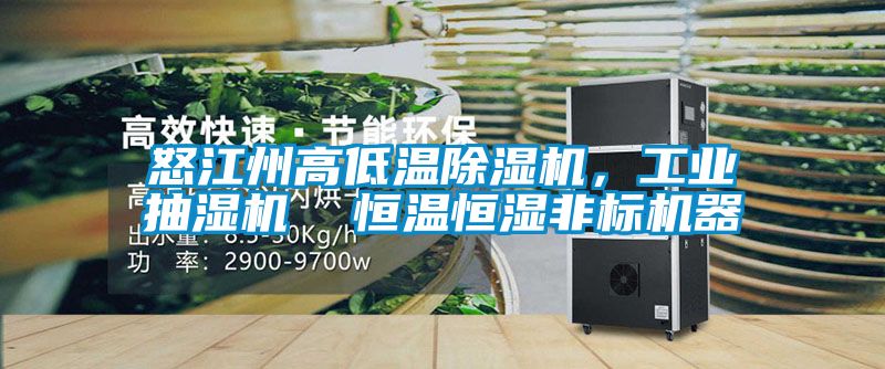 怒江州高低溫除濕機(jī)，工業(yè)抽濕機(jī)  恒溫恒濕非標(biāo)機(jī)器