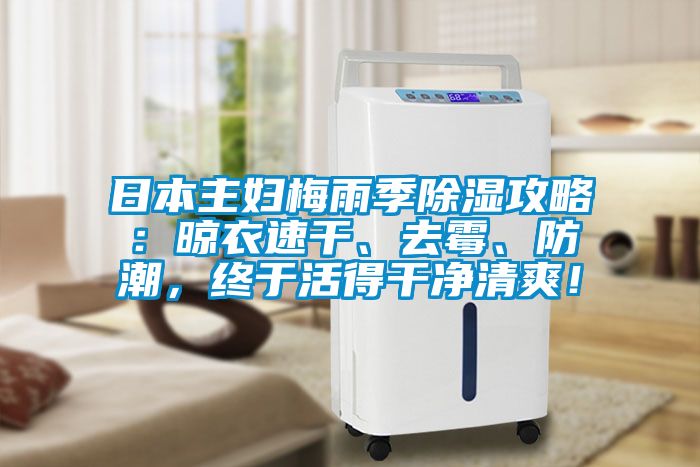 日本主婦梅雨季除濕攻略：晾衣速干、去霉、防潮，終于活得干凈清爽！