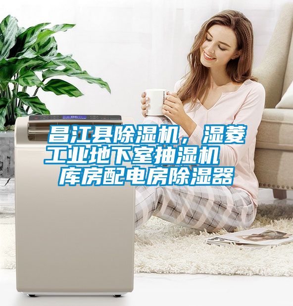 昌江縣除濕機(jī)，濕菱工業(yè)地下室抽濕機(jī)  庫(kù)房配電房除濕器