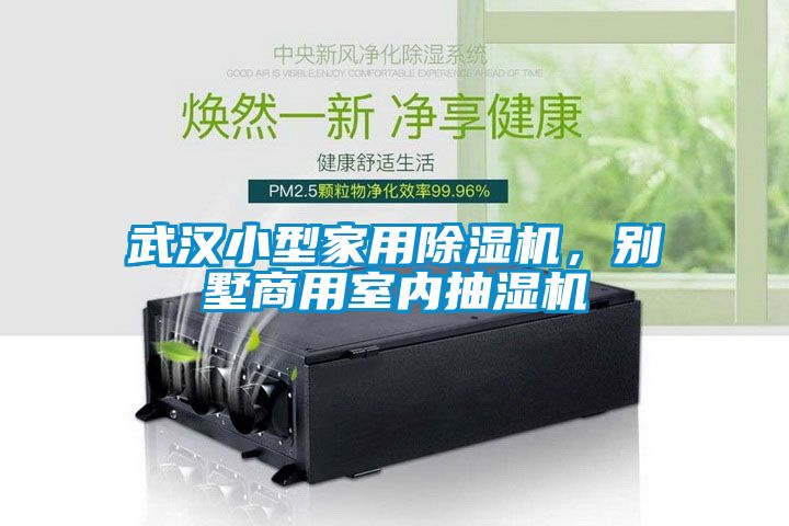武漢小型家用除濕機，別墅商用室內(nèi)抽濕機