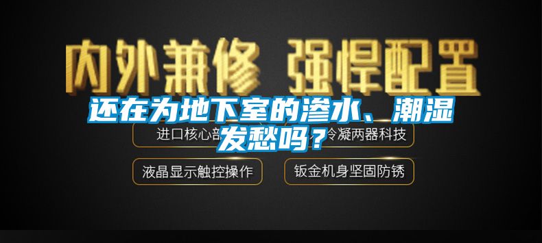 還在為地下室的滲水、潮濕發(fā)愁嗎？