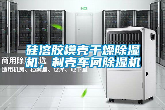 硅溶膠模殼干燥除濕機(jī)，制殼車間除濕機(jī)