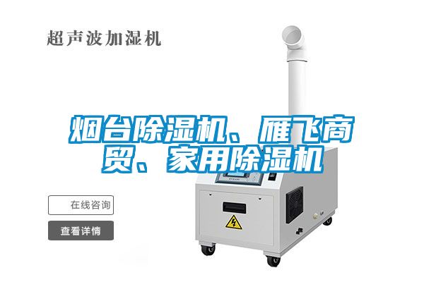 煙臺(tái)除濕機(jī)、雁飛商貿(mào)、家用除濕機(jī)