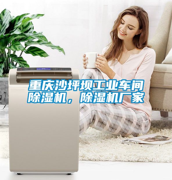 重慶沙坪壩工業(yè)車間除濕機，除濕機廠家