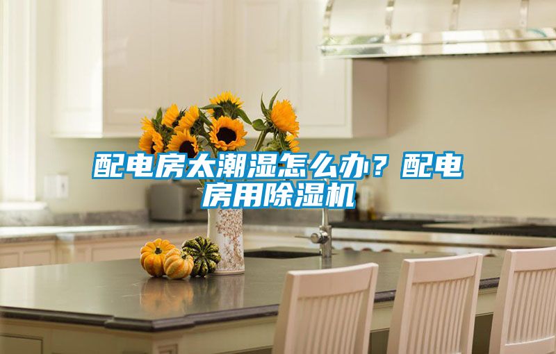 配電房太潮濕怎么辦？配電房用除濕機
