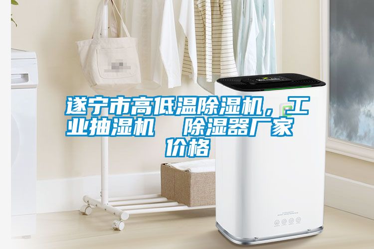 遂寧市高低溫除濕機(jī)，工業(yè)抽濕機(jī)  除濕器廠家 價(jià)格