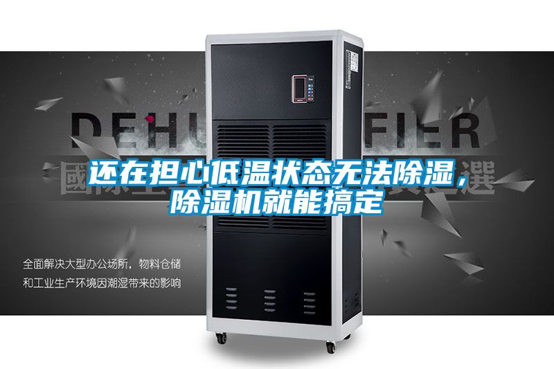還在擔(dān)心低溫狀態(tài)無法除濕，除濕機(jī)就能搞定