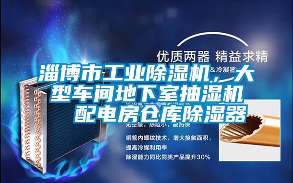 淄博市工業(yè)除濕機，大型車間地下室抽濕機  配電房倉庫除濕器