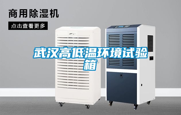 武漢高低溫環(huán)境試驗(yàn)箱