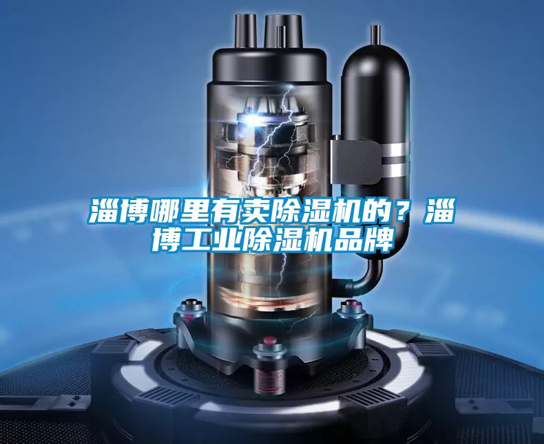 淄博哪里有賣(mài)除濕機(jī)的？淄博工業(yè)除濕機(jī)品牌
