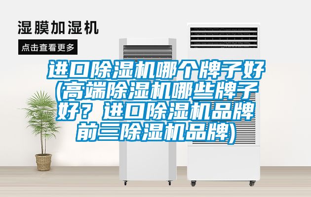 進(jìn)口除濕機(jī)哪個(gè)牌子好(高端除濕機(jī)哪些牌子好？進(jìn)口除濕機(jī)品牌前三除濕機(jī)品牌)