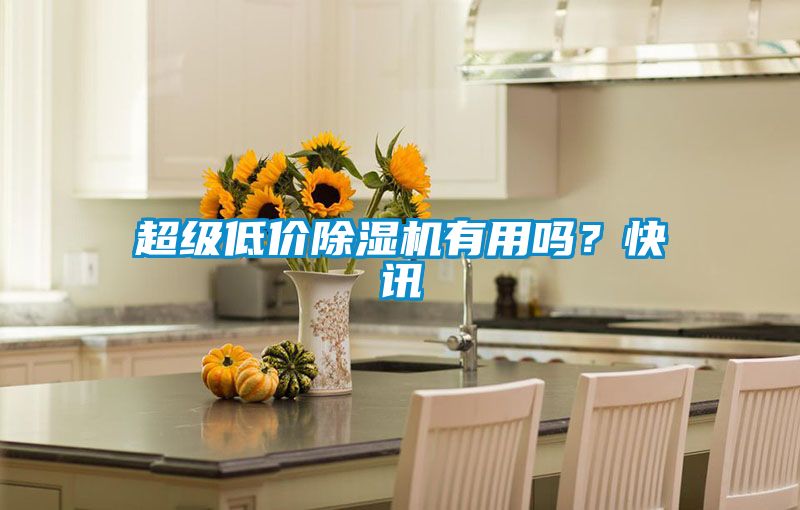 超級低價除濕機有用嗎？快訊