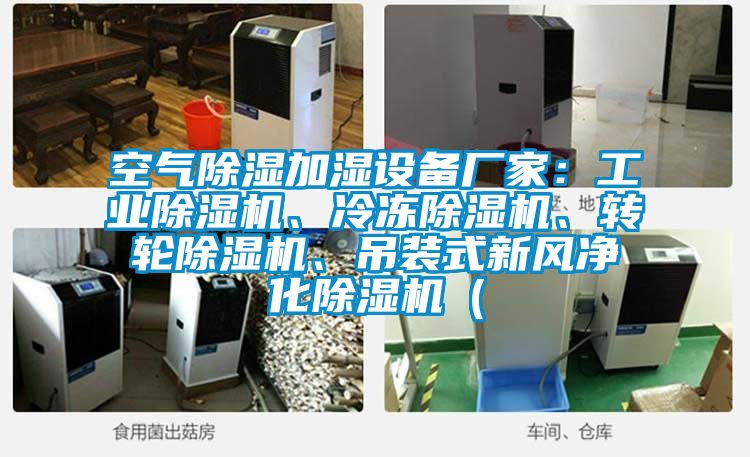 空氣除濕加濕設(shè)備廠家：工業(yè)除濕機、冷凍除濕機、轉(zhuǎn)輪除濕機、吊裝式新風凈化除濕機（