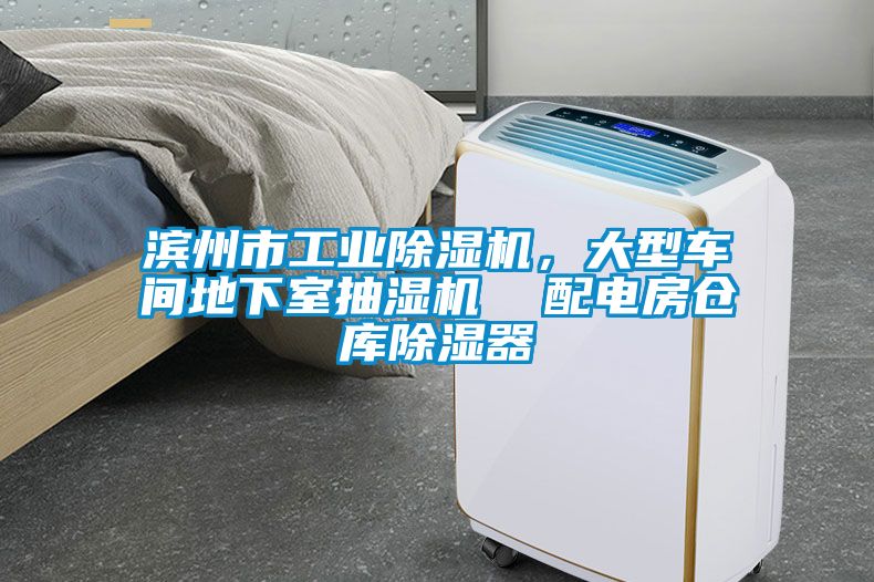 濱州市工業(yè)除濕機(jī)，大型車間地下室抽濕機(jī)  配電房倉庫除濕器