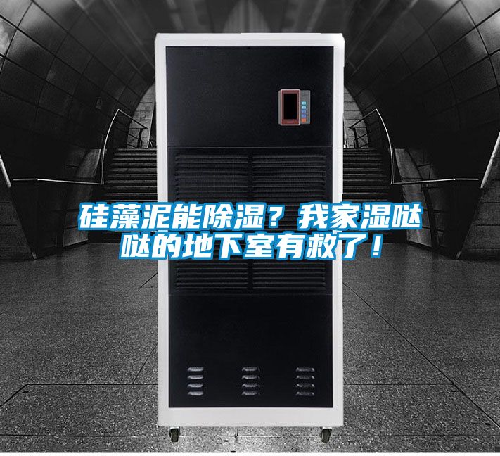 硅藻泥能除濕？我家濕噠噠的地下室有救了！