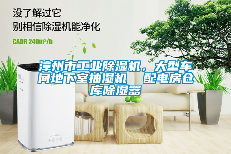 漳州市工業(yè)除濕機(jī)，大型車間地下室抽濕機(jī)  配電房倉(cāng)庫(kù)除濕器