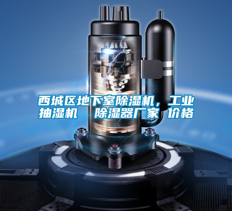 西城區(qū)地下室除濕機，工業(yè)抽濕機  除濕器廠家 價格