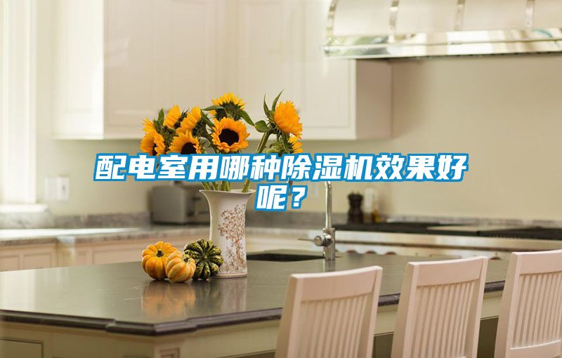 配電室用哪種除濕機(jī)效果好呢？