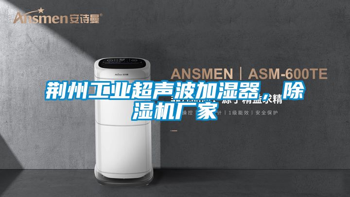 荊州工業(yè)超聲波加濕器，除濕機廠家