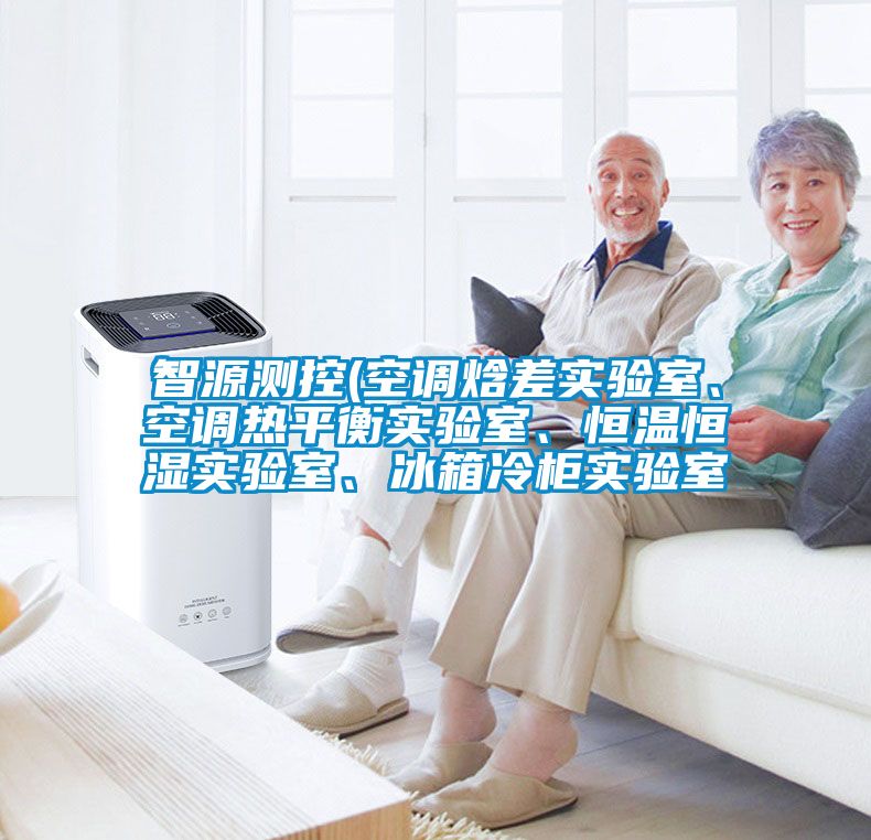 智源測控(空調(diào)焓差實驗室、空調(diào)熱平衡實驗室、恒溫恒濕實驗室、冰箱冷柜實驗室