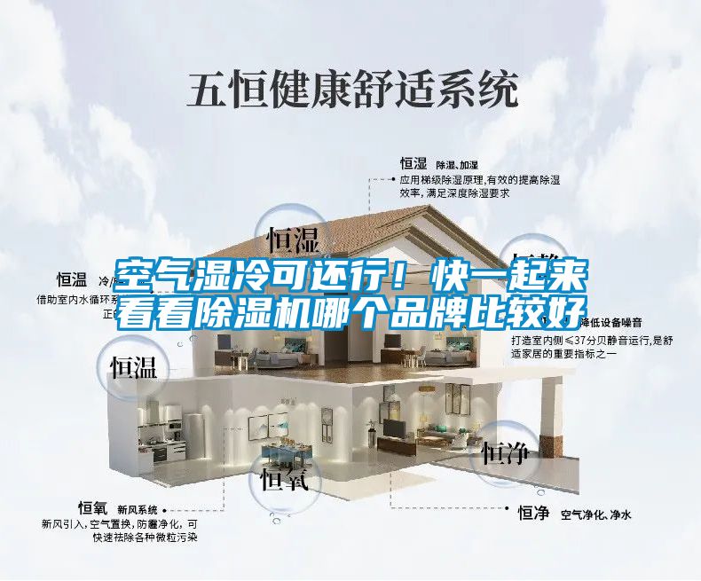 空氣濕冷可還行！快一起來看看除濕機哪個品牌比較好