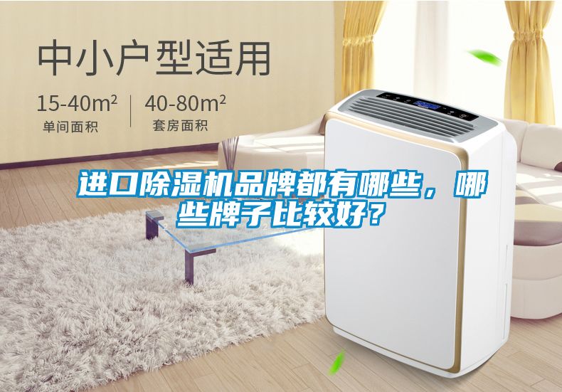 進(jìn)口除濕機(jī)品牌都有哪些，哪些牌子比較好？