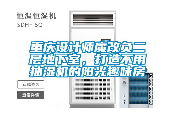 重慶設(shè)計(jì)師魔改負(fù)二層地下室，打造不用抽濕機(jī)的陽光趣味房